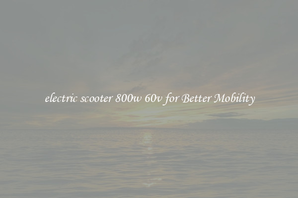 electric scooter 800w 60v for Better Mobility