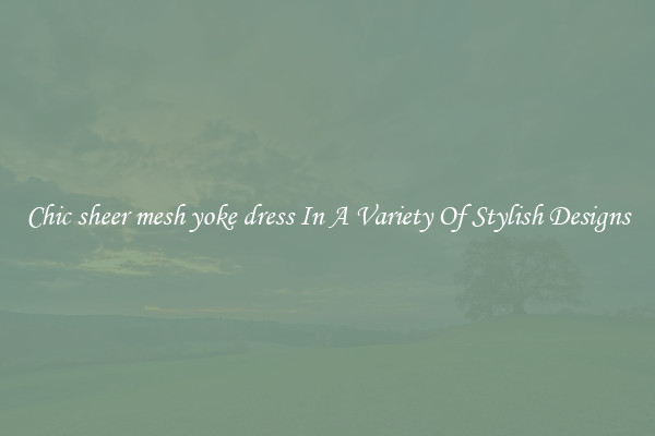 Chic sheer mesh yoke dress In A Variety Of Stylish Designs