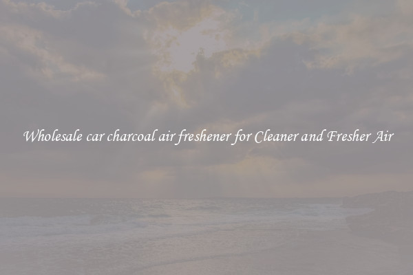 Wholesale car charcoal air freshener for Cleaner and Fresher Air