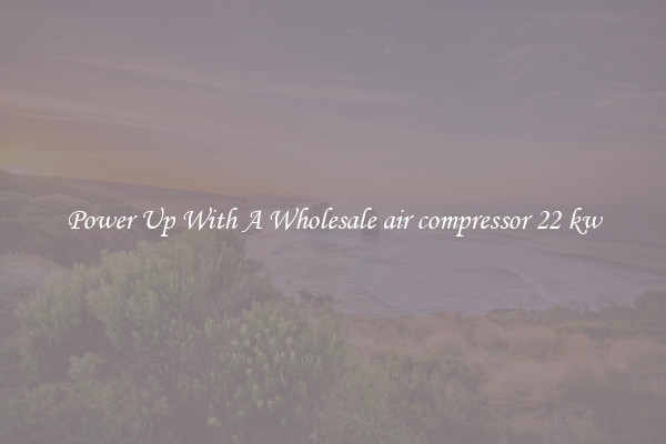 Power Up With A Wholesale air compressor 22 kw