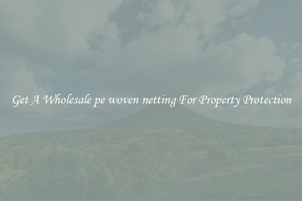 Get A Wholesale pe woven netting For Property Protection