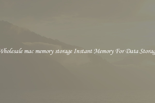 Wholesale mac memory storage Instant Memory For Data Storage