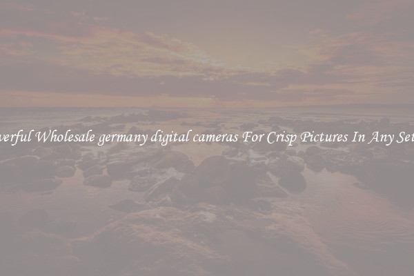 Powerful Wholesale germany digital cameras For Crisp Pictures In Any Setting