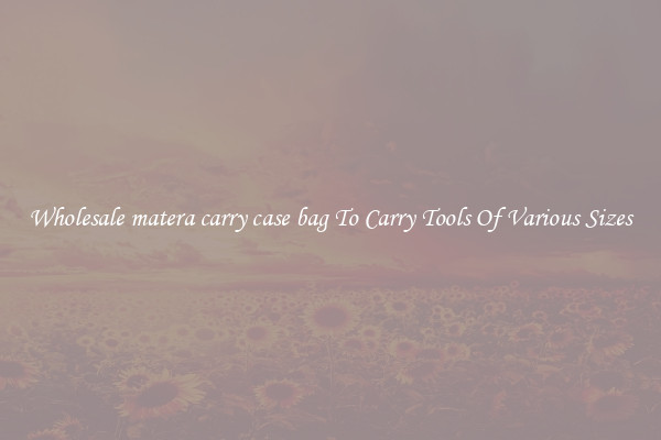 Wholesale matera carry case bag To Carry Tools Of Various Sizes
