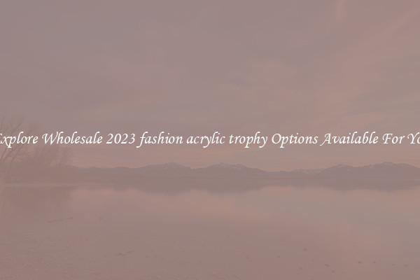 Explore Wholesale 2023 fashion acrylic trophy Options Available For You