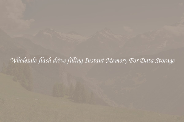 Wholesale flash drive filling Instant Memory For Data Storage