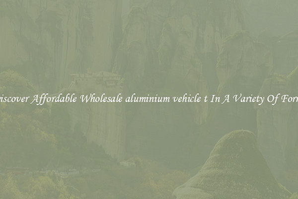 Discover Affordable Wholesale aluminium vehicle t In A Variety Of Forms