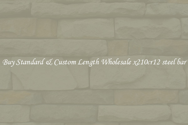 Buy Standard & Custom Length Wholesale x210cr12 steel bar
