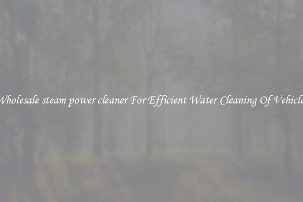 Wholesale steam power cleaner For Efficient Water Cleaning Of Vehicles