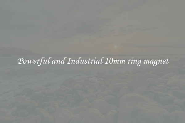 Powerful and Industrial 10mm ring magnet