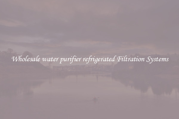 Wholesale water purifier refrigerated Filtration Systems