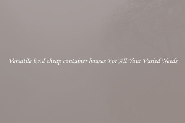 Versatile b.r.d cheap container houses For All Your Varied Needs