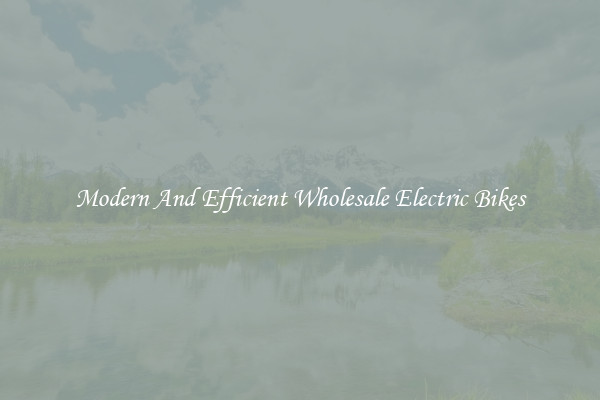 Modern And Efficient Wholesale Electric Bikes