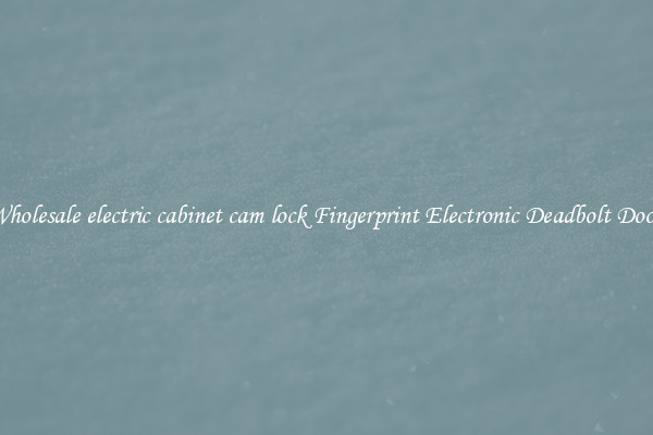 Wholesale electric cabinet cam lock Fingerprint Electronic Deadbolt Door 