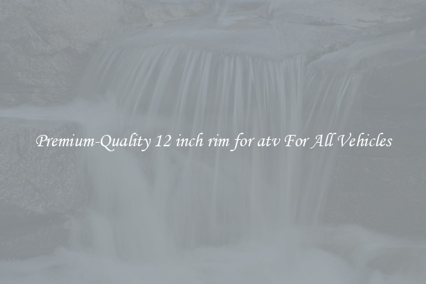 Premium-Quality 12 inch rim for atv For All Vehicles